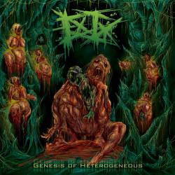 Entrenched Ingurgitation : Genesis of Heterogeneous